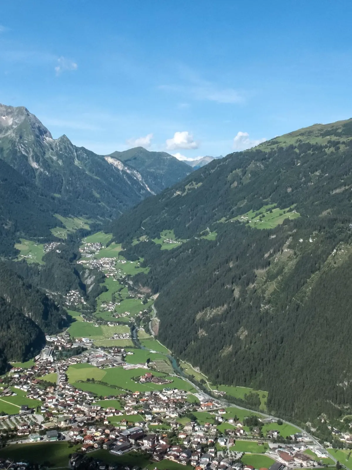 Bild zu: "15 Wespenstiche - deutsche Wanderin in Lebensgefahr"