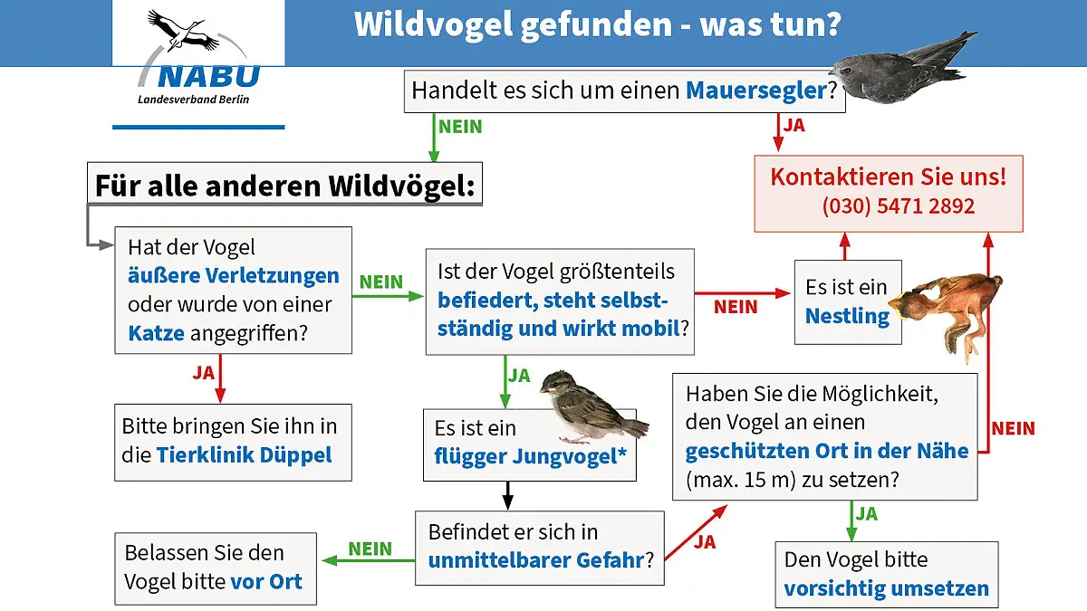 Infografik
