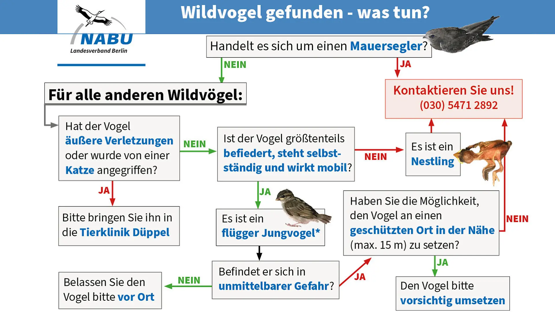Infografik