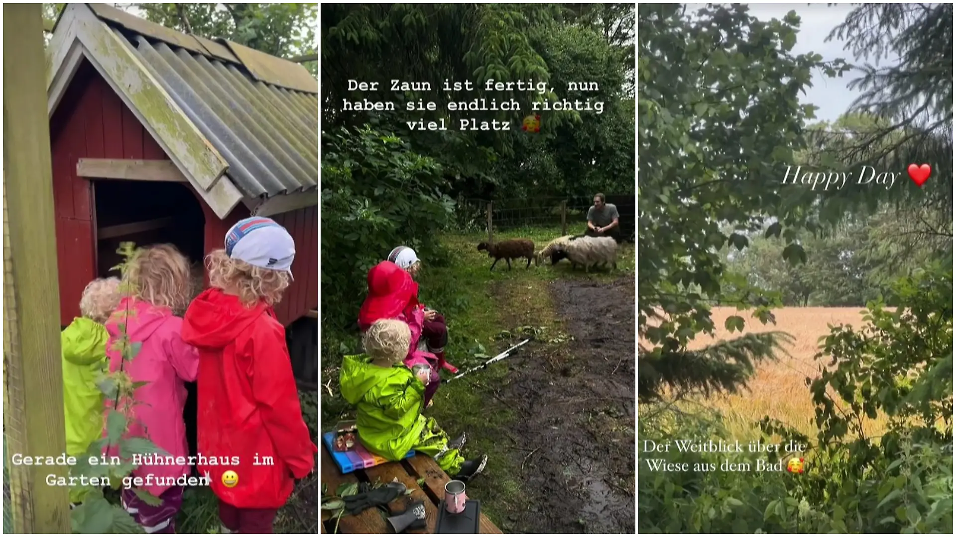 Das neue Leben der Kusmagks in Dänemark: mit Hühnern und Schafen