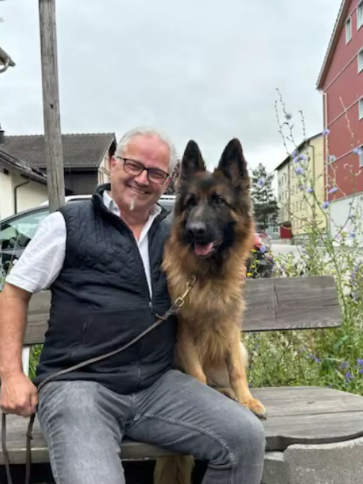 Bild zu: "Hündin Ayla stürzt bei Alpen-Wanderung ab – eine Woche später dann die Überraschung"