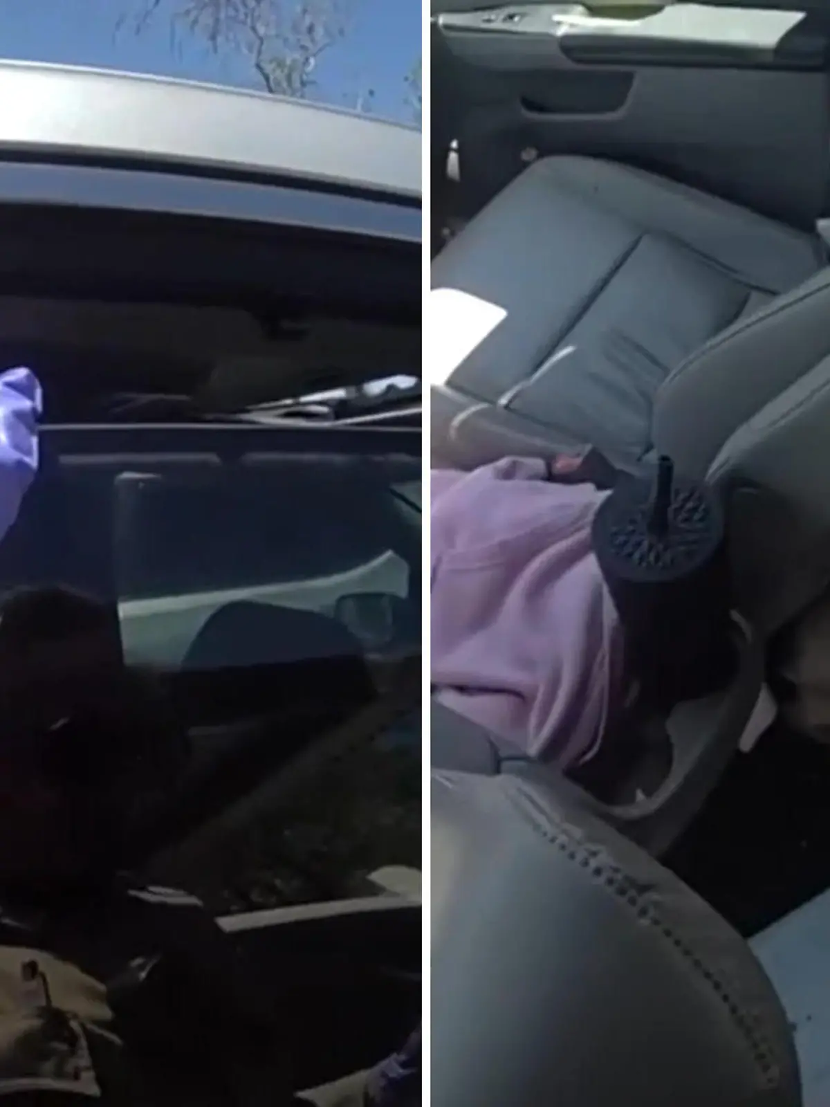 Bild zu: "Besitzer lässt Hunde einfach im Auto zurück"