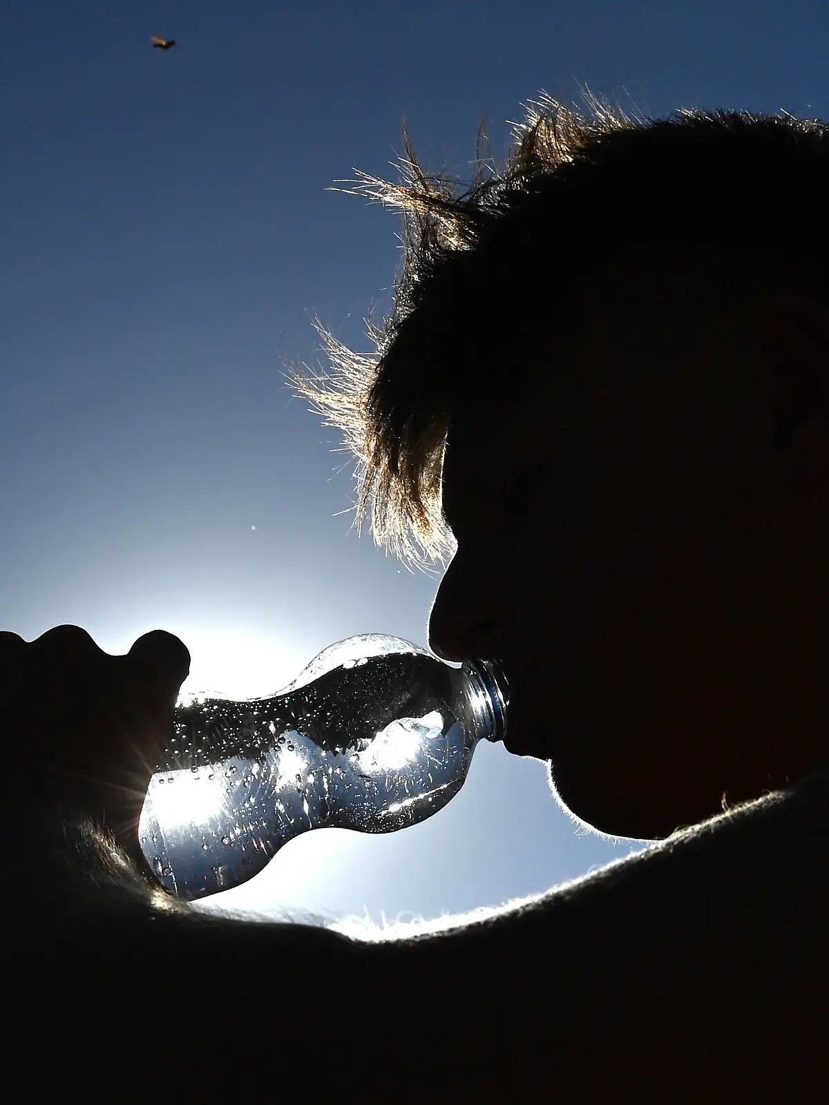 Rekordhitze und Trockenheit im Sommer 2022 Junge trinkt Wasser aus einer Plastikflasche bei grosser Hitze im Sommer 2022 am 19.07.2022. ?