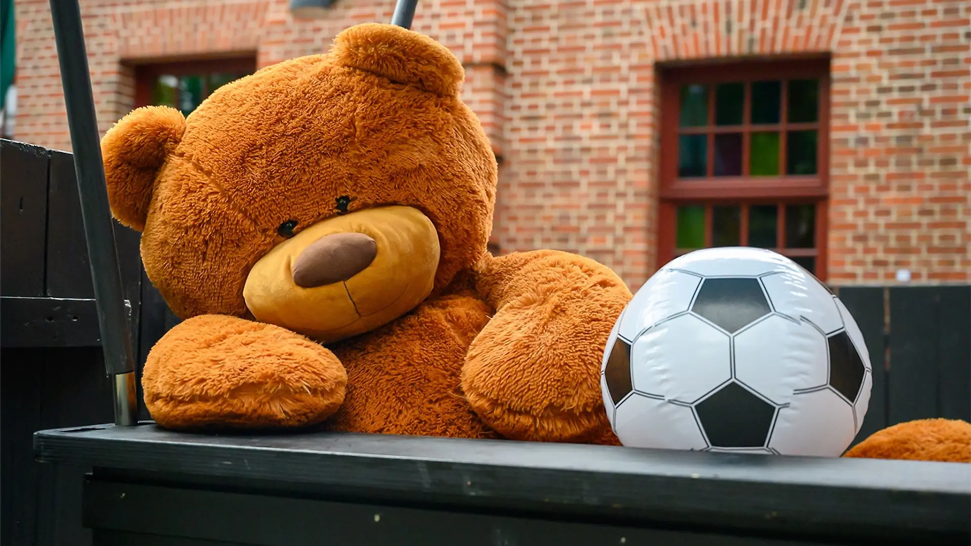 Dieser Kuschelbär wird vermisst.