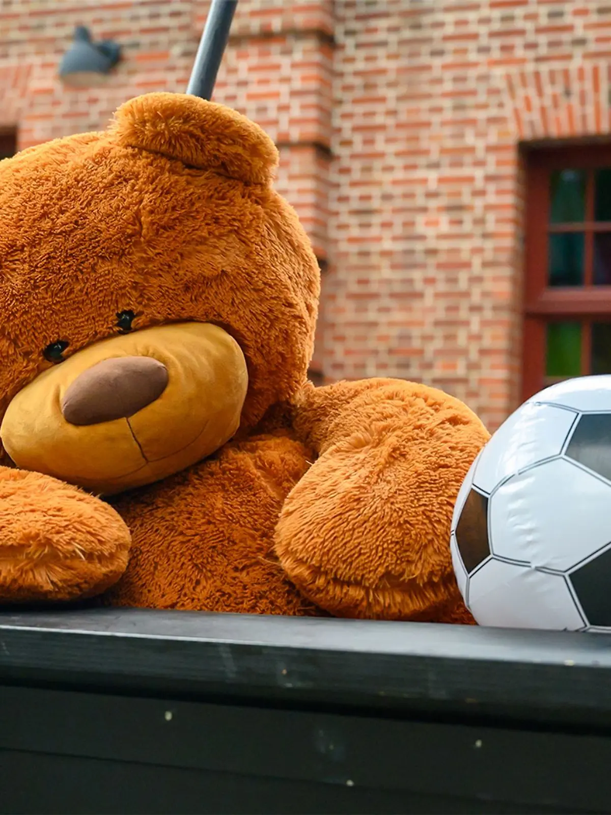 Bild zu: "Tim Mälzers Teddy einfach geklaut!"