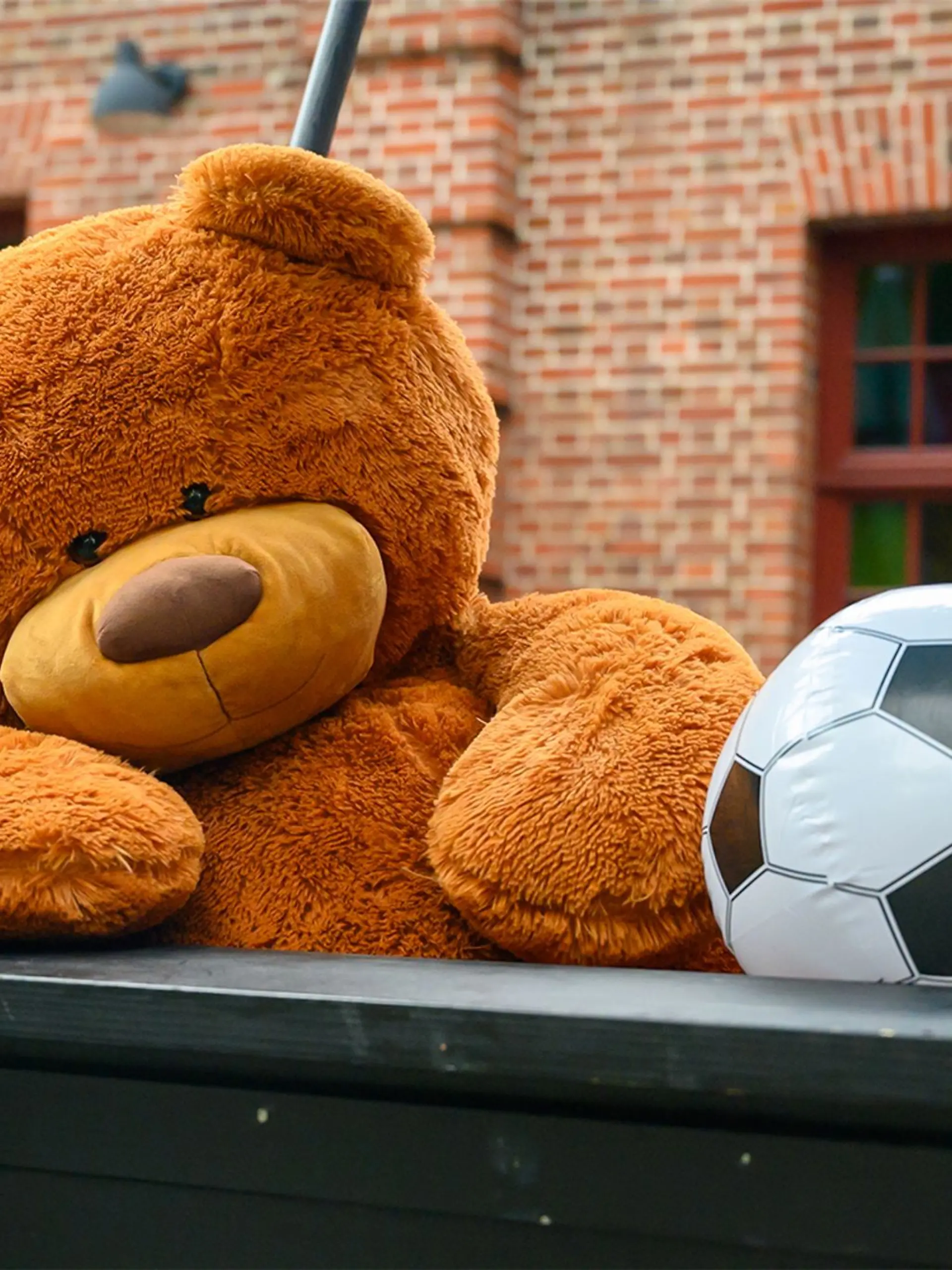 Bild zu: "Tim Mälzers Teddy einfach geklaut!"