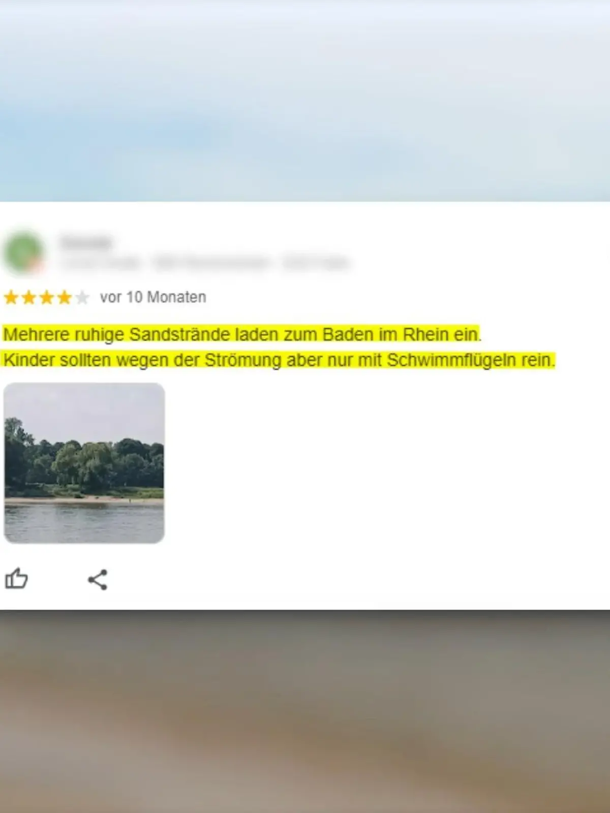 Bild zu: "Schwimmen im Rhein"