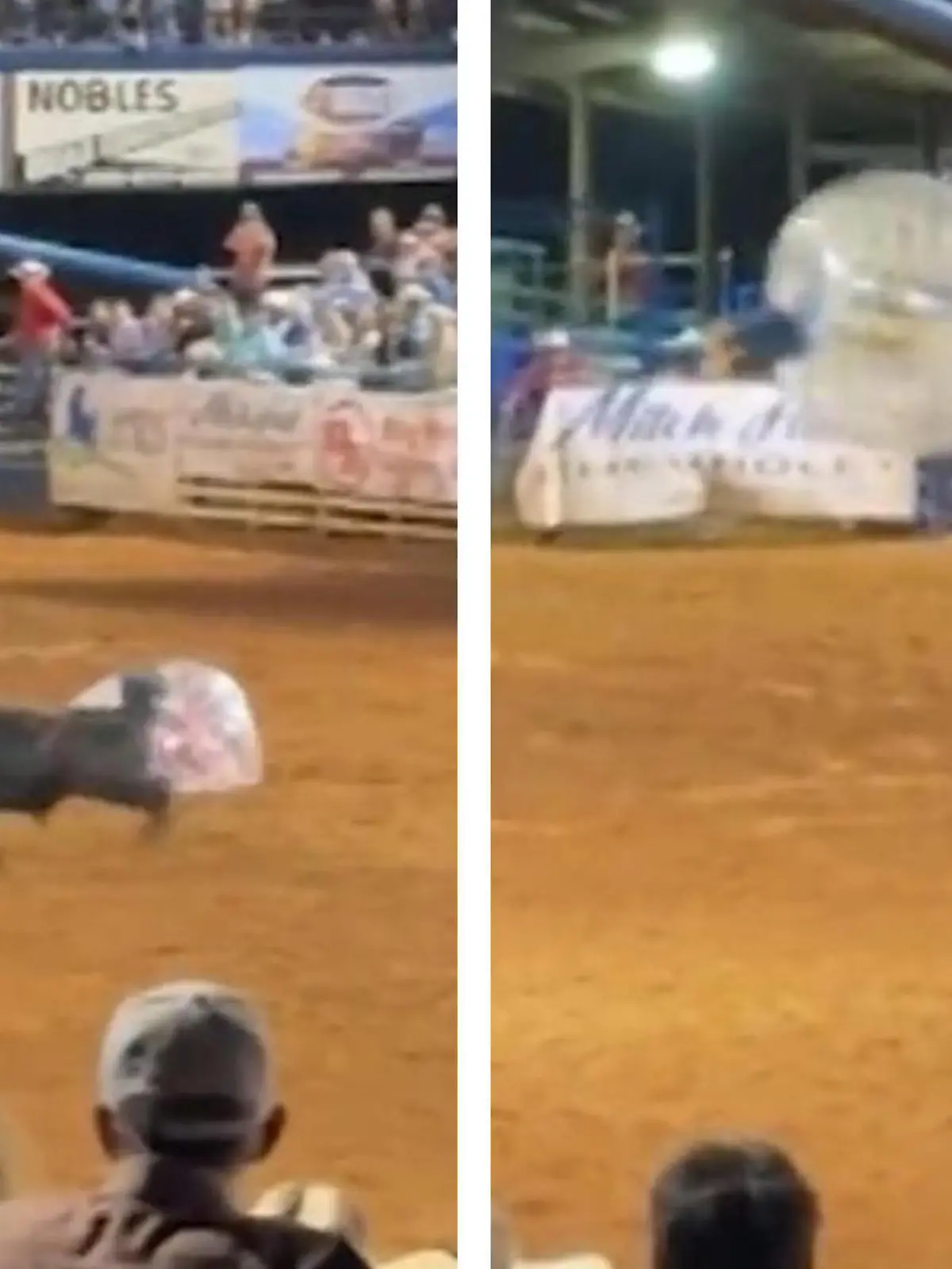 Bei einem Rodeo-Wettbewerb in Texas wird eine Teilnehmerin im Bubble-Suit von einem Bullen heftig in die Luft geschleudert. Was krass aussieht, bringt sie später auf das Siegerpodest. Denn wer am spektakulärsten fliegt, gewinnt. Wie das aussieht, seht ihr im Video!