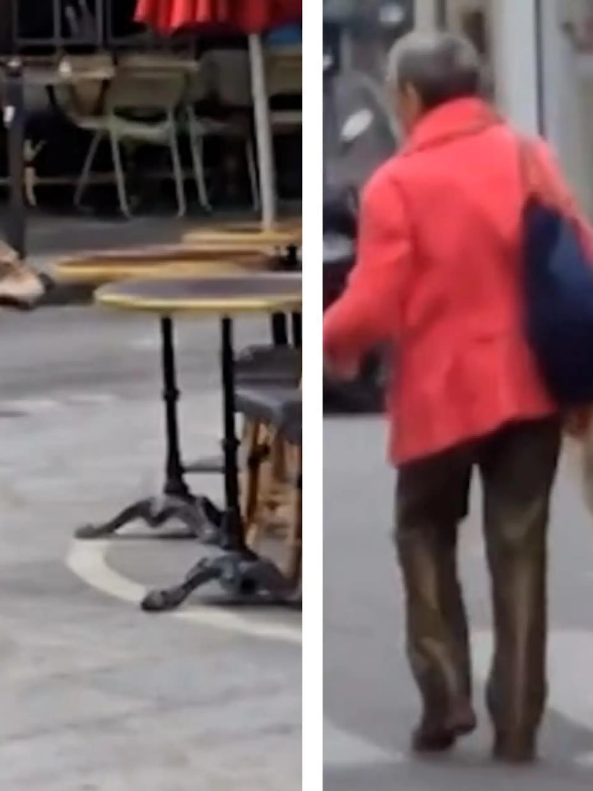 Eine Frau geht mit einem großen Hund Gassi.