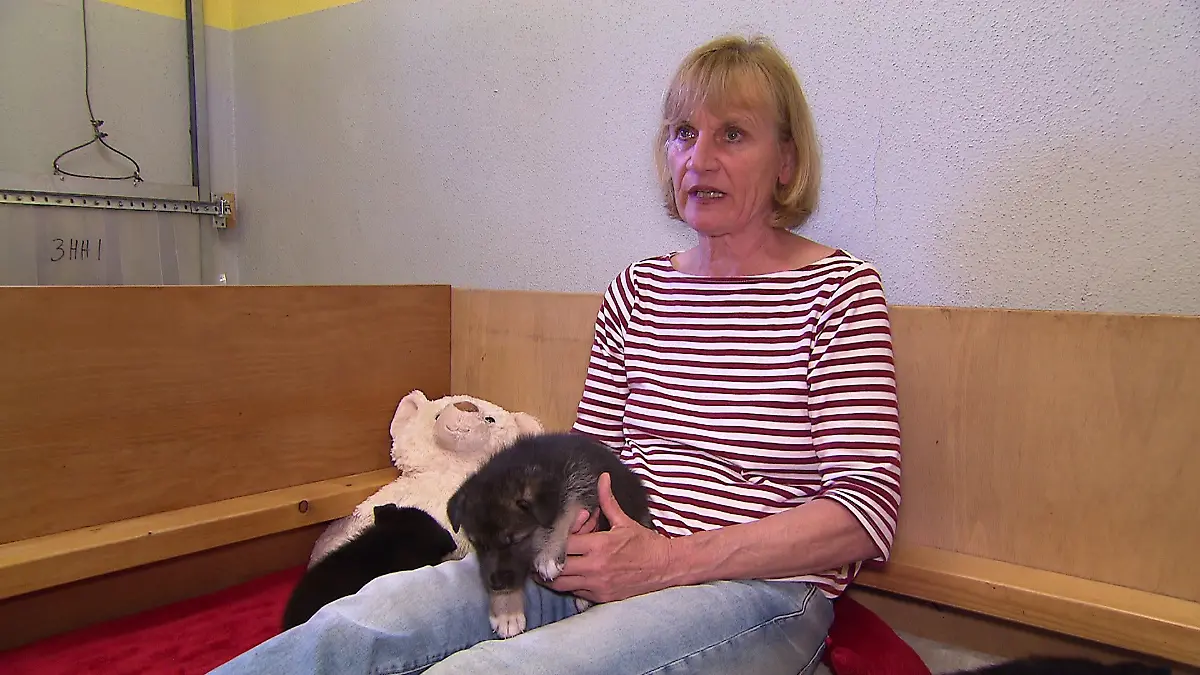 Astrid Paparone, Vorsitzende des Tierschutzverein Gießen mit Welpen.