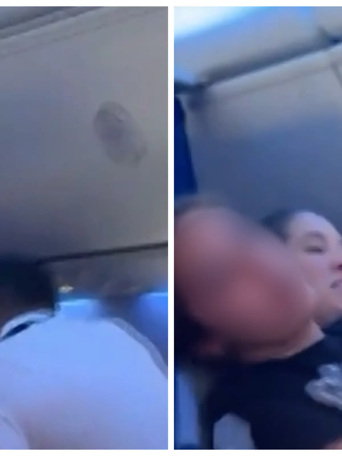 Fotokollage: Links beißt eine Frau in die Uniform eines Flugbegleiters, rechts versucht das Personal sie zu bändigen
