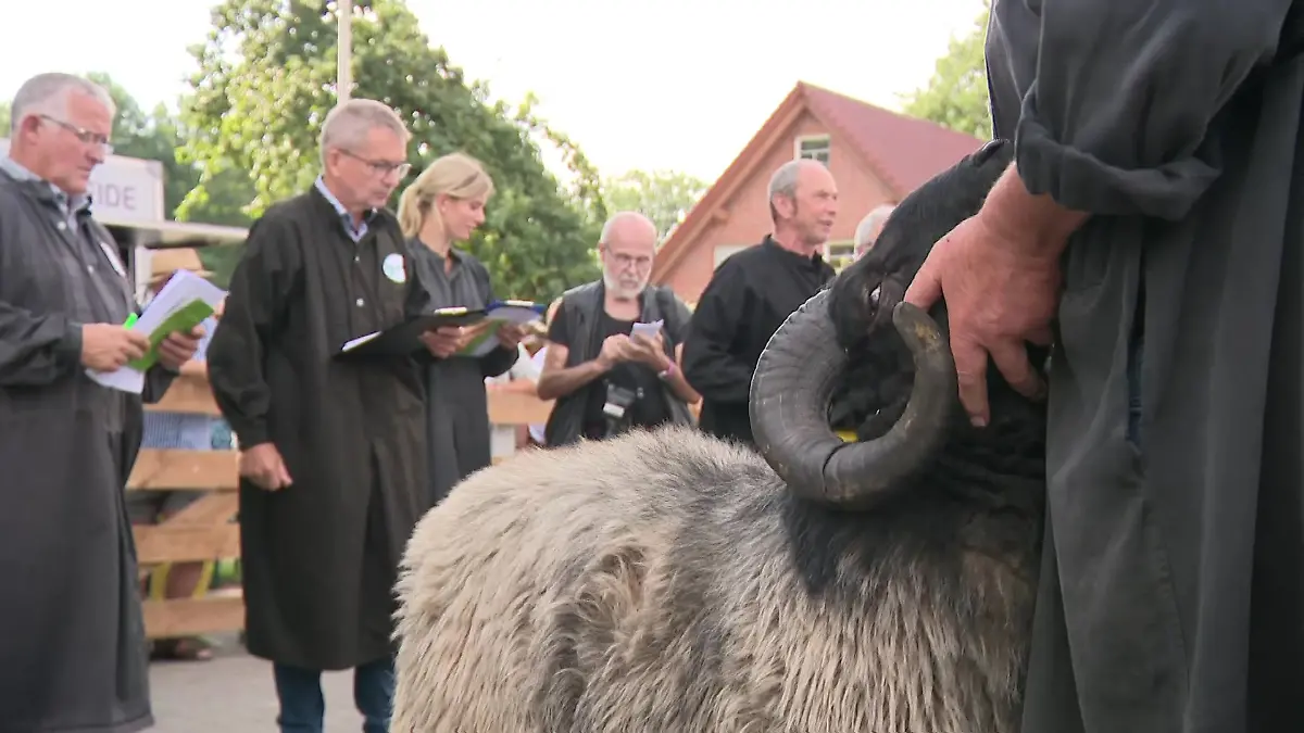 Die Preisrichter nehmen die Tiere ganz genau unter die Lupe.