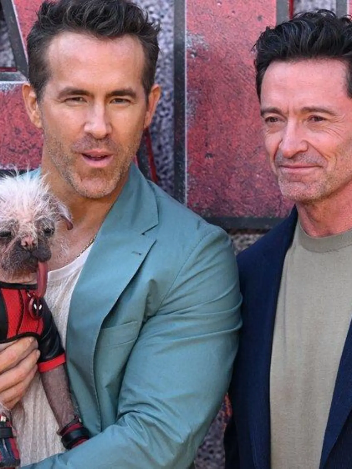 Ryan Reynolds und der hässlichste Hund Großbritanniens