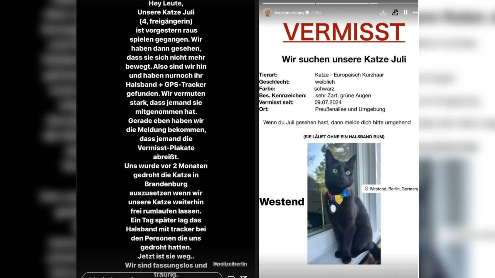 Lennart Borchert bittet auf Instagram um Hilfe: Seine Katze ist verschwunden.