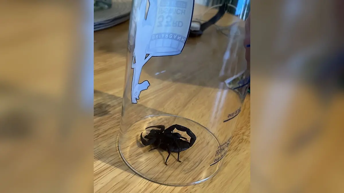 photo-output (13).jpg