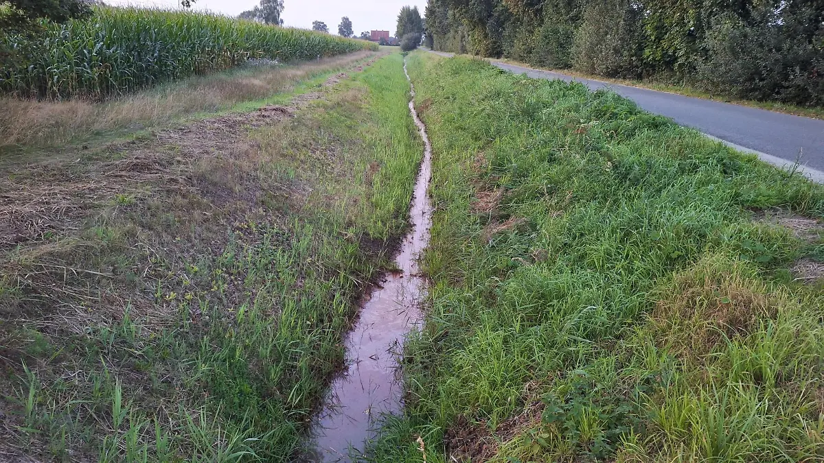 11.09.2023, Niedersachsen, Barenburg: Der Graben neben einer Straße im Landkreis Diepholz wo bereits am 10.09.2023 die Leiche einer 17-Jährigen gefunden worden war. Die junge Frau sei nach dem Ergebnis der Obduktion einen gewaltsamen Tod gestorben, sagte ein Polizeisprecher am Montagabend. Die genauen Todesumstände seien Gegenstand der unter Hochdruck geführten Ermittlungen. Die Polizei rief mögliche Zeugen, darunter Anwohner, Spaziergänger und Landwirte, dazu auf, sich zu melden.  (zu dpa „Polizei ermittelt nach gewaltsamen Tod von 17-Jähriger”) Foto: Nord-West-Media TV/dpa +++ dpa-Bildfunk +++