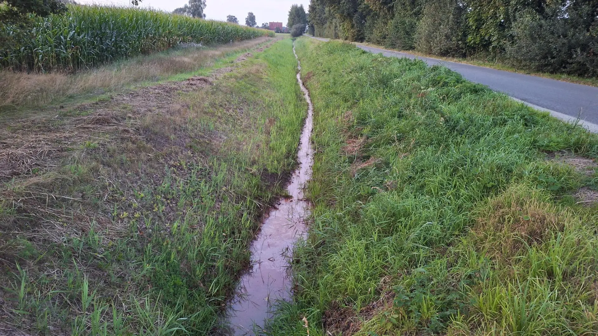 11.09.2023, Niedersachsen, Barenburg: Der Graben neben einer Straße im Landkreis Diepholz wo bereits am 10.09.2023 die Leiche einer 17-Jährigen gefunden worden war. Die junge Frau sei nach dem Ergebnis der Obduktion einen gewaltsamen Tod gestorben, sagte ein Polizeisprecher am Montagabend. Die genauen Todesumstände seien Gegenstand der unter Hochdruck geführten Ermittlungen. Die Polizei rief mögliche Zeugen, darunter Anwohner, Spaziergänger und Landwirte, dazu auf, sich zu melden. (zu dpa „Polizei ermittelt nach gewaltsamen Tod von 17-Jähriger”) Foto: Nord-West-Media TV/dpa +++ dpa-Bildfunk +++