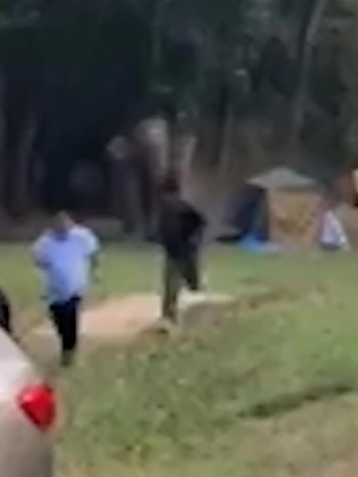 Eigentlich wollten die Touristen hier nur in Ruhe Urlaub in der Natur machen, doch plötzlich werden diese Campingplatz-Besucher von einem wilden Elefanten überrascht! Der Dickhäuter stürmt das Camp! Die spektakulären Bilder seht ihr im Video.