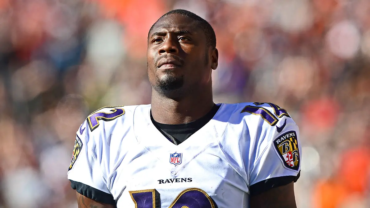 Jacoby Jones im Trikot der Baltimore Ravens 