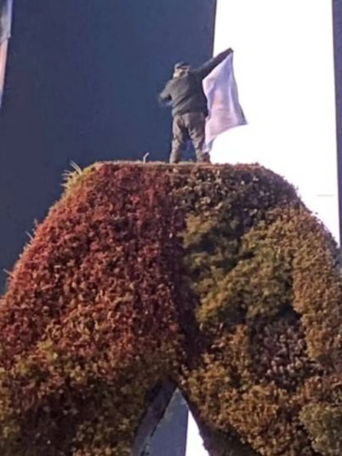 July 15, 2024 Man dies in Buenos Aires after falling six meters from the Obelisk during a rally of Argentinean fans