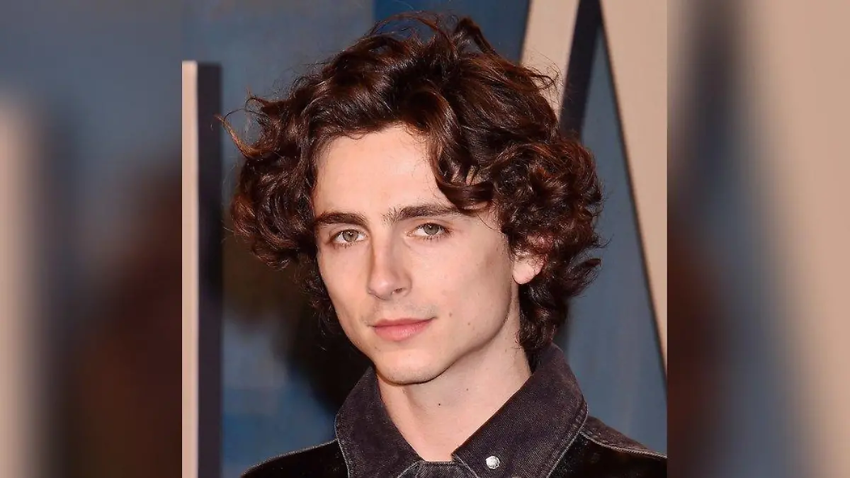 Timothée Chalamet: Nächstes Biopic nach Film über Bob Dylan