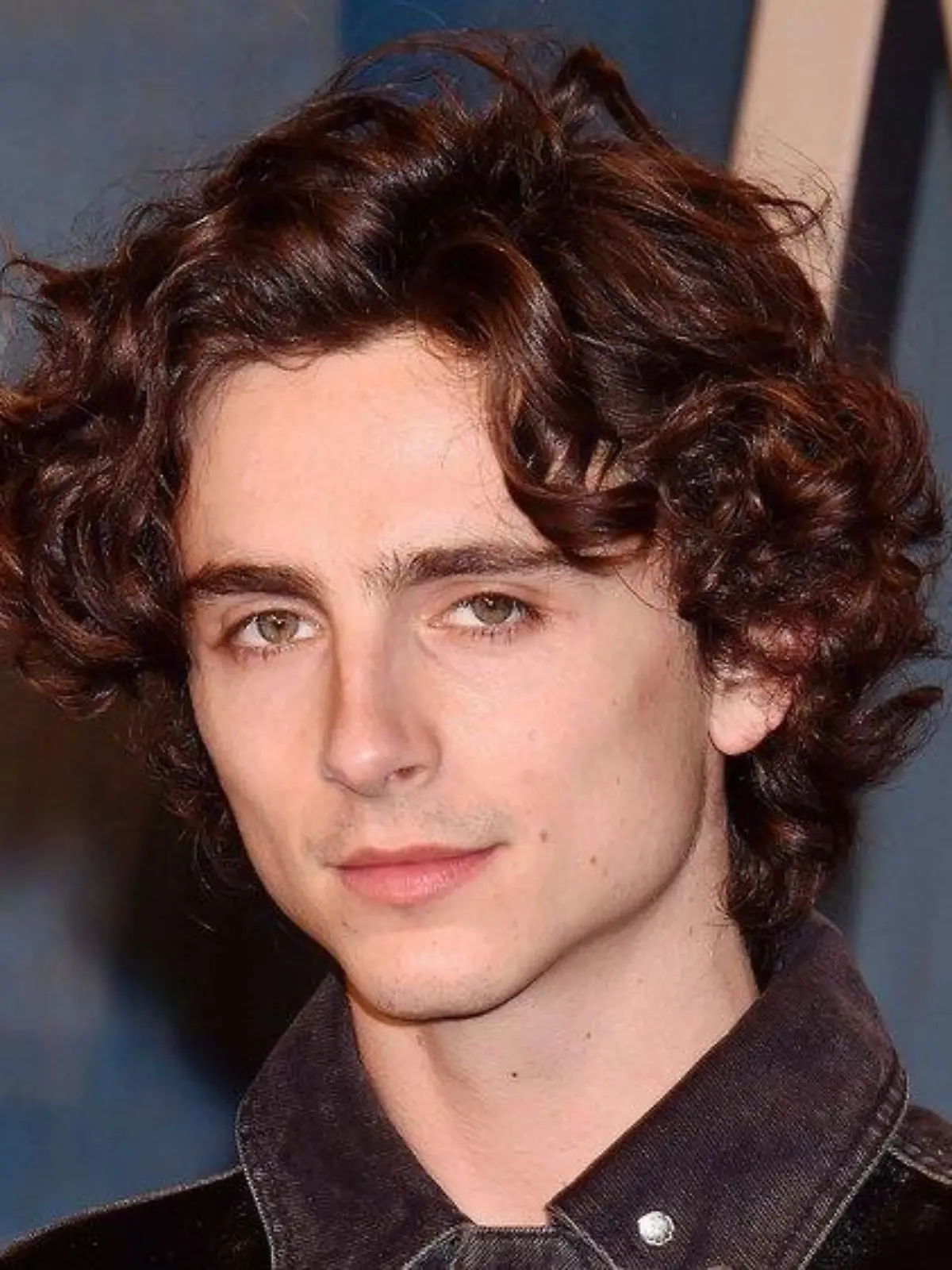 Timothée Chalamet: Nächstes Biopic nach Film über Bob Dylan