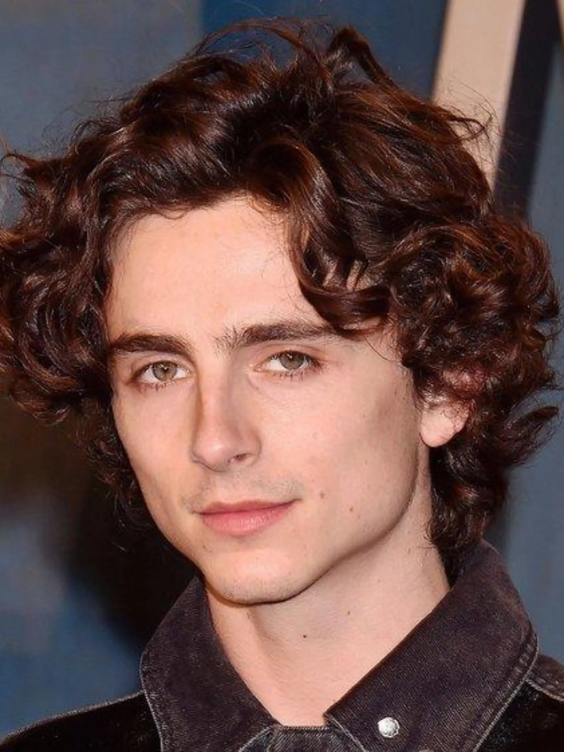 Timothée Chalamet: Nächstes Biopic nach Film über Bob Dylan