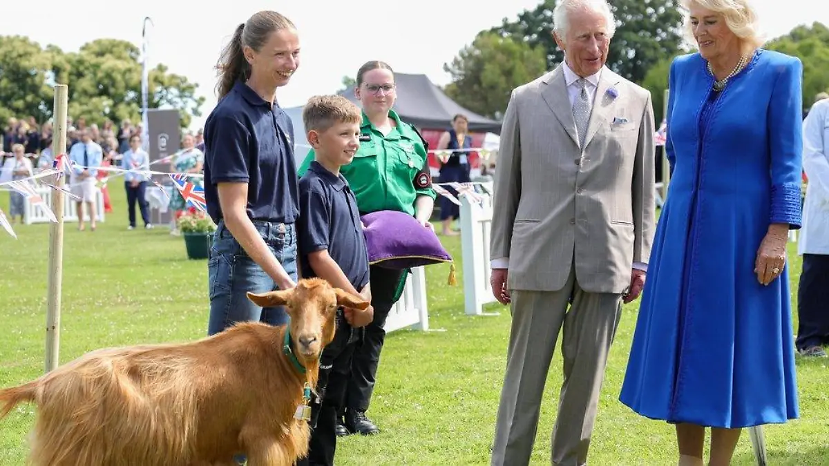 König Charles III.: Königlicher Titel für seltene Ziegenrasse