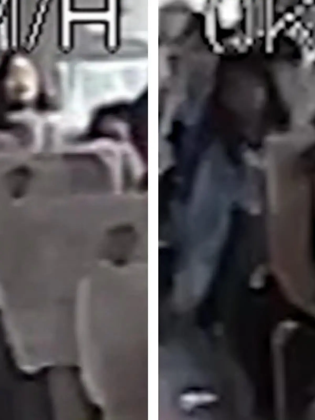 Ein Stein kracht in Südchina in einen Reisebus, eine Passagierin wird getroffen und kommt bewusstlos in ein Krankenhaus. 