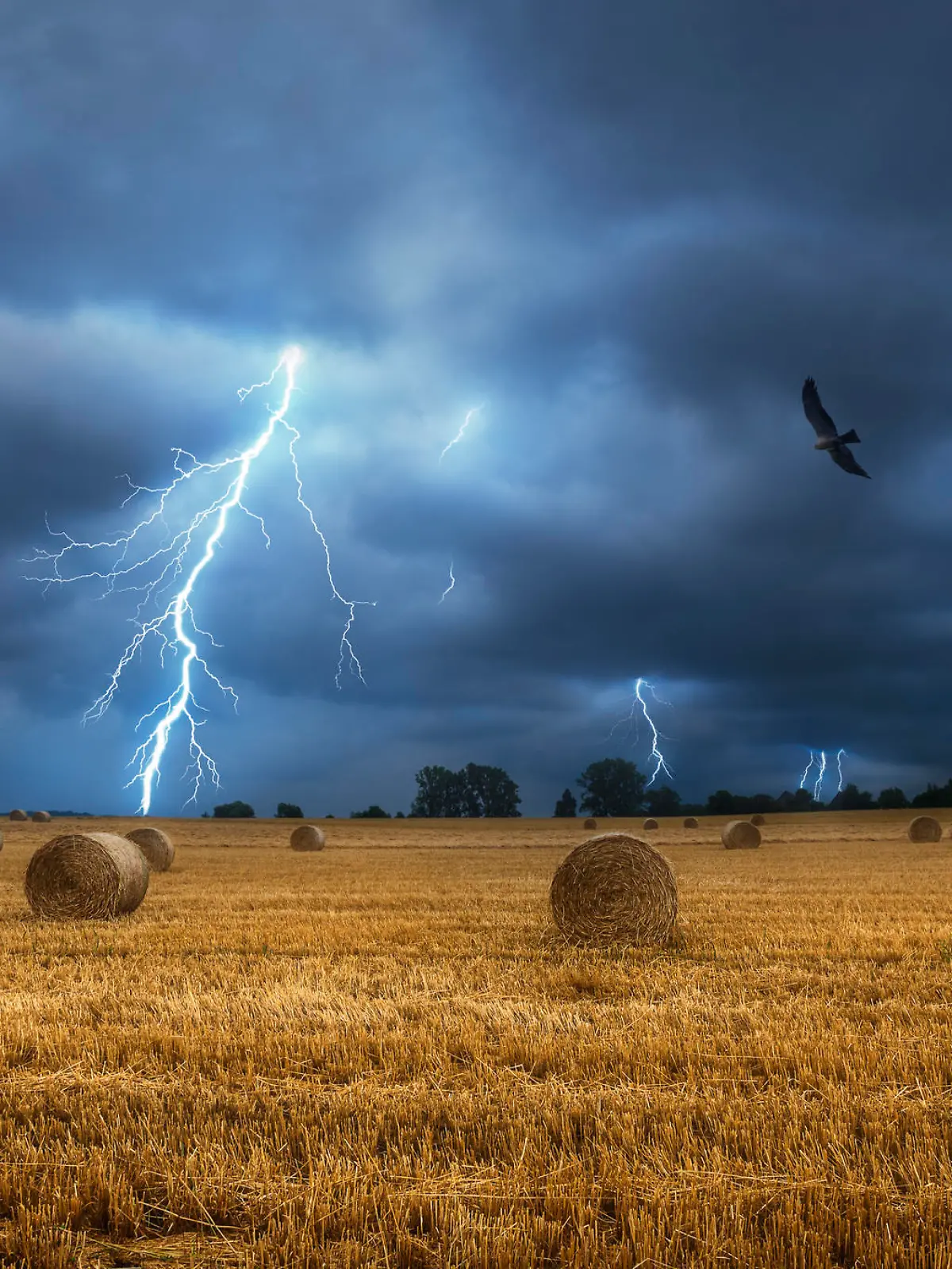 Bales of hay on the field during a lightning storm. Force of nature landscape. Agricultural field with straw bales and lightning bolts. Countrylife.