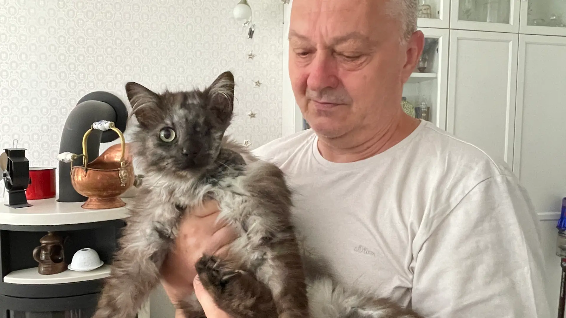 Kater Schuscha überlebt wie durch Wunder – nun sucht ein ganzes Dorf einen Katzenschänder