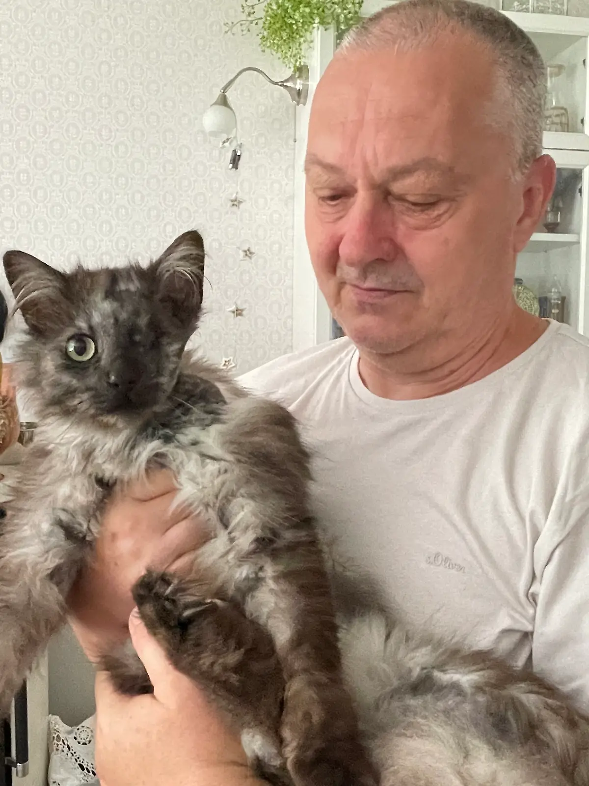 Bild zu: "Mit 25 Luftgewehrkugeln beschossen – ganzes Dorf sucht einen Katzenschänder"