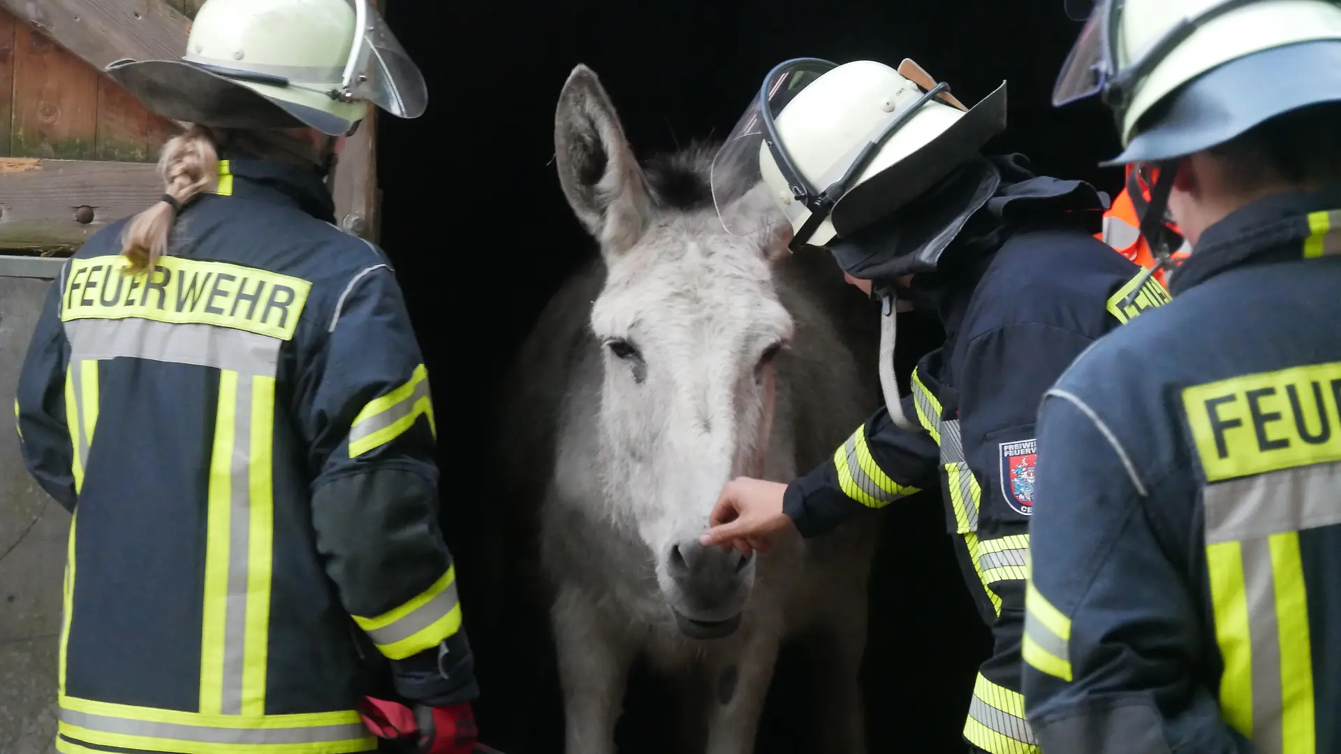 Die Feuerwehr Celle übt die Tierrettung (Foto: Feuerwehr Celle)
