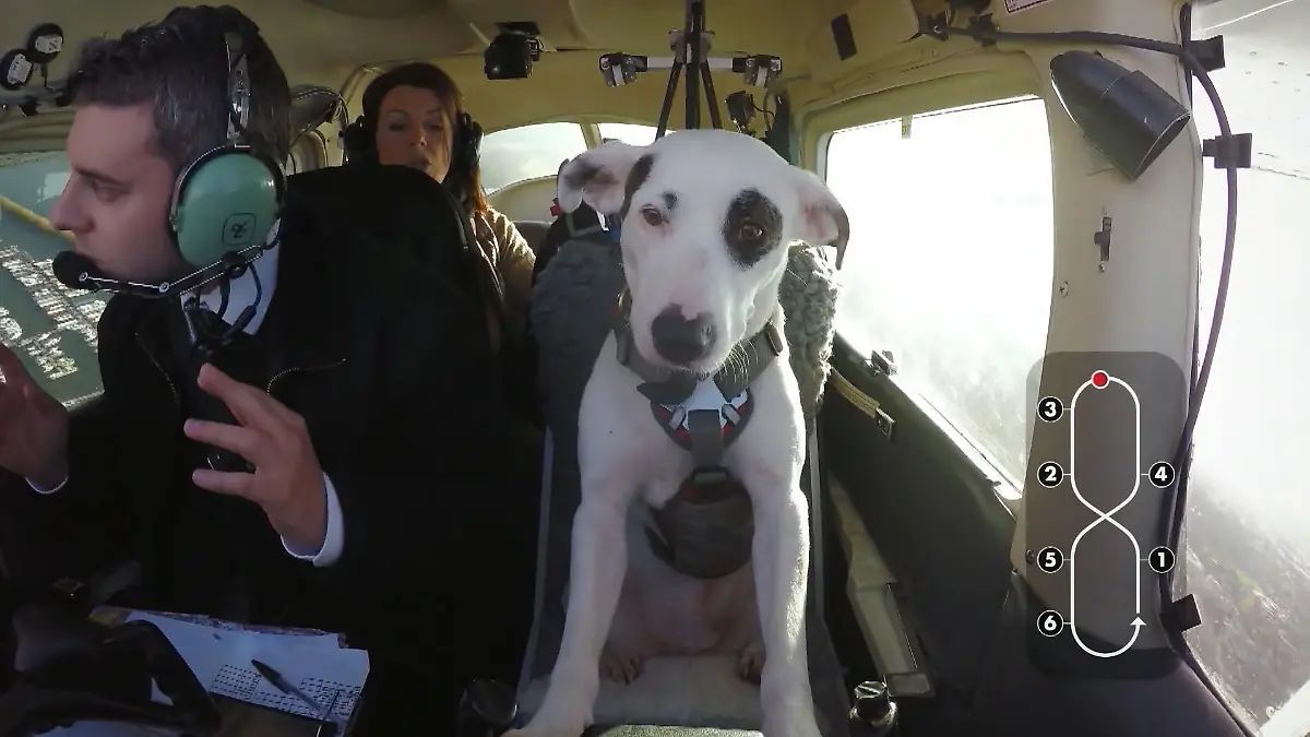 Nach sechs Monaten harter Ausbildung darf Shadow es dann auch mal im Cockpit probieren