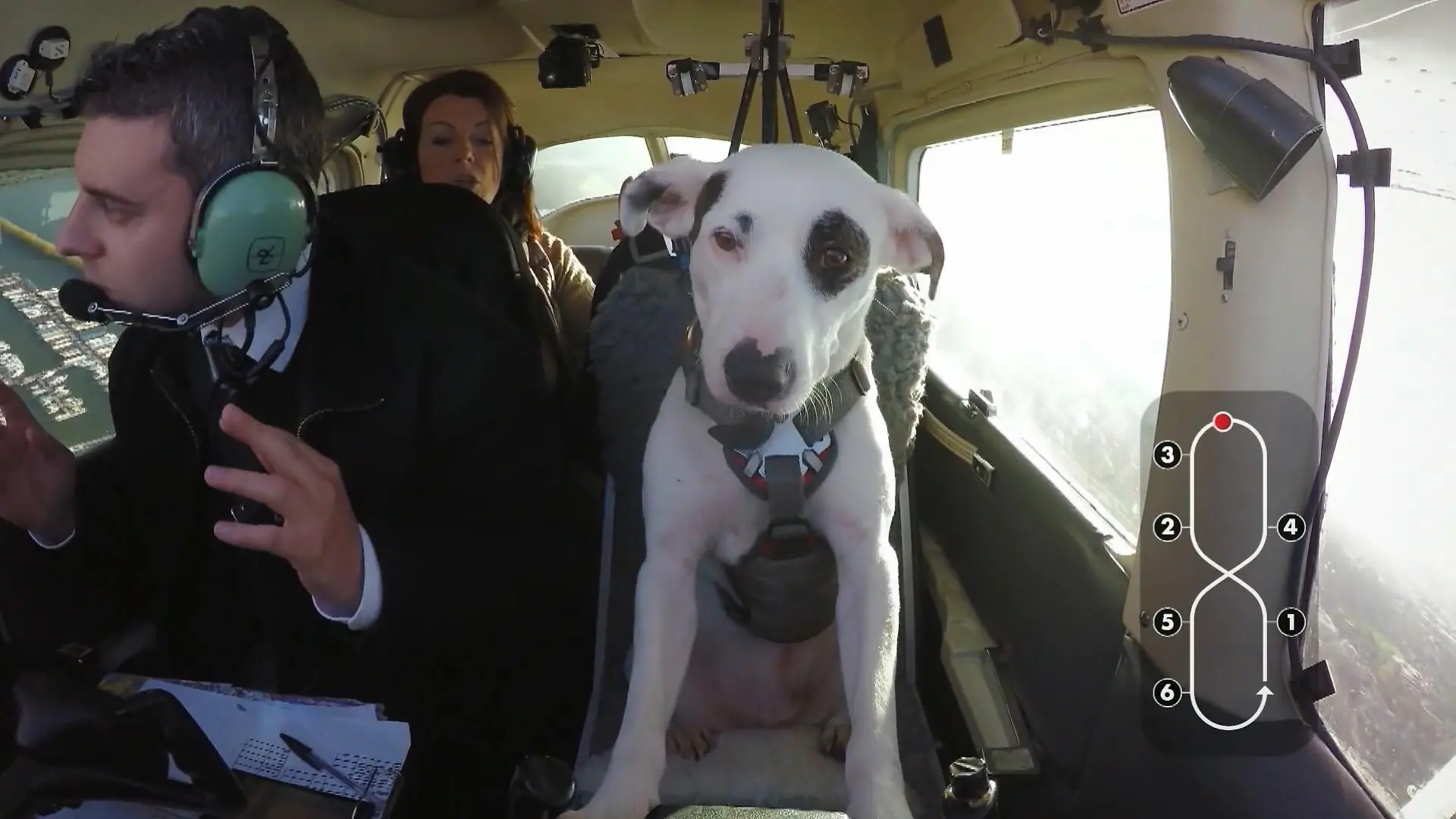 Nach sechs Monaten harter Ausbildung darf Shadow es dann auch mal im Cockpit probieren