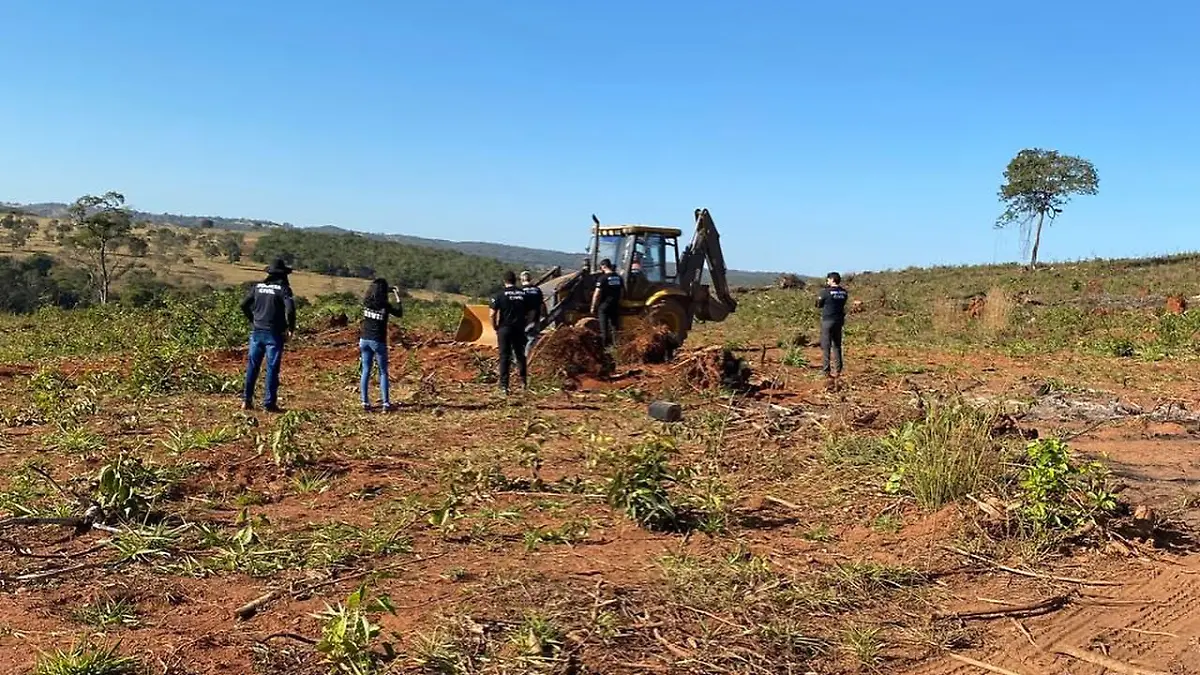 Freundin getötet und auf Farm in Brasilien vergraben