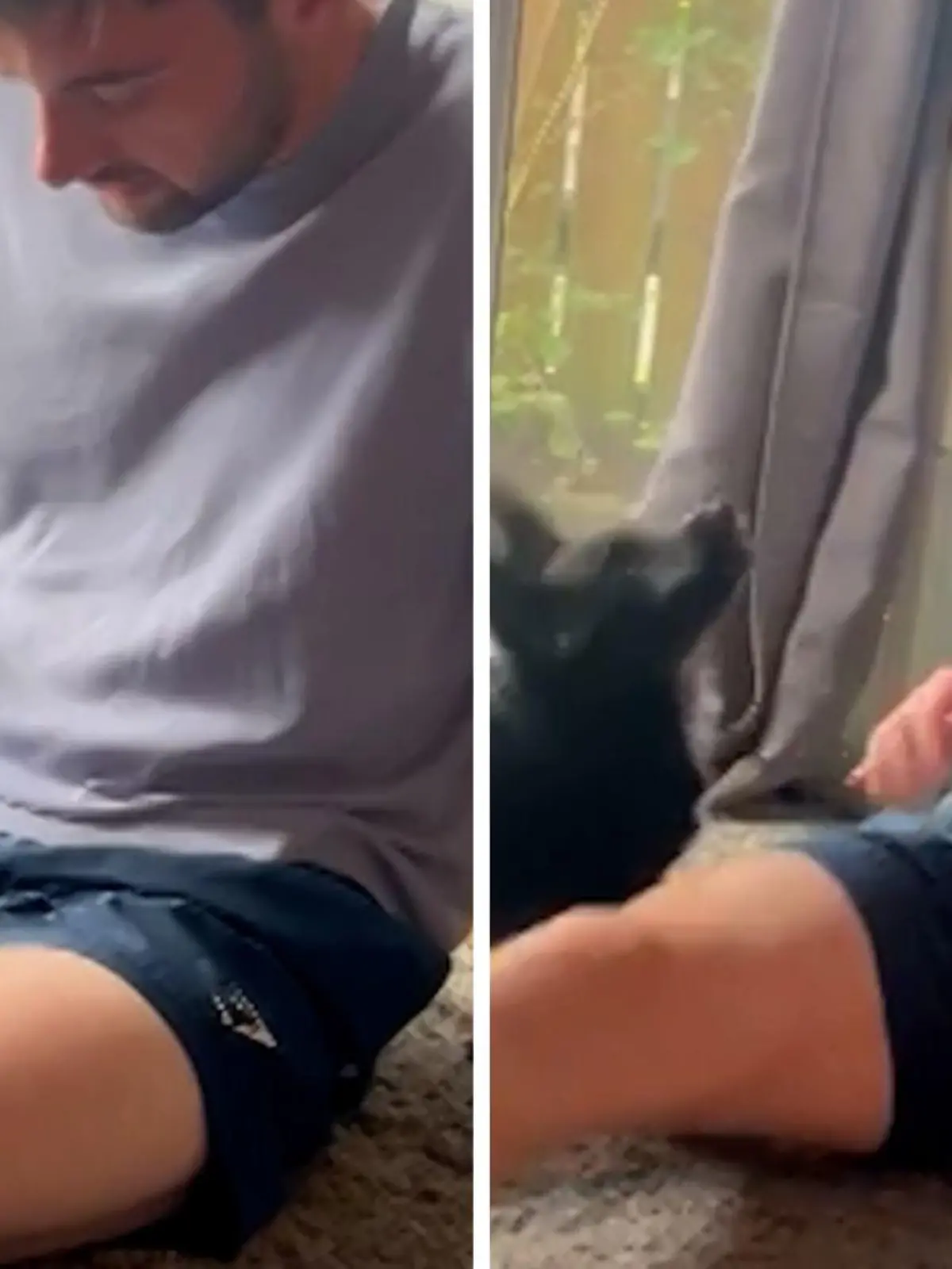 Reece spielt mit seinem Hund Stormzy, als der plötzlich zubeißt! An welcher Körperstelle der Weple sein Herrchen erwischt hat, erfahrt Ihr im Video.