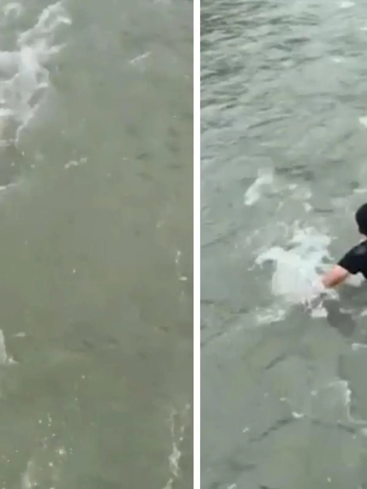 Bild zu: "Fluss reißt Kleinkind mit! Ex-Soldat springt in die Fluten"