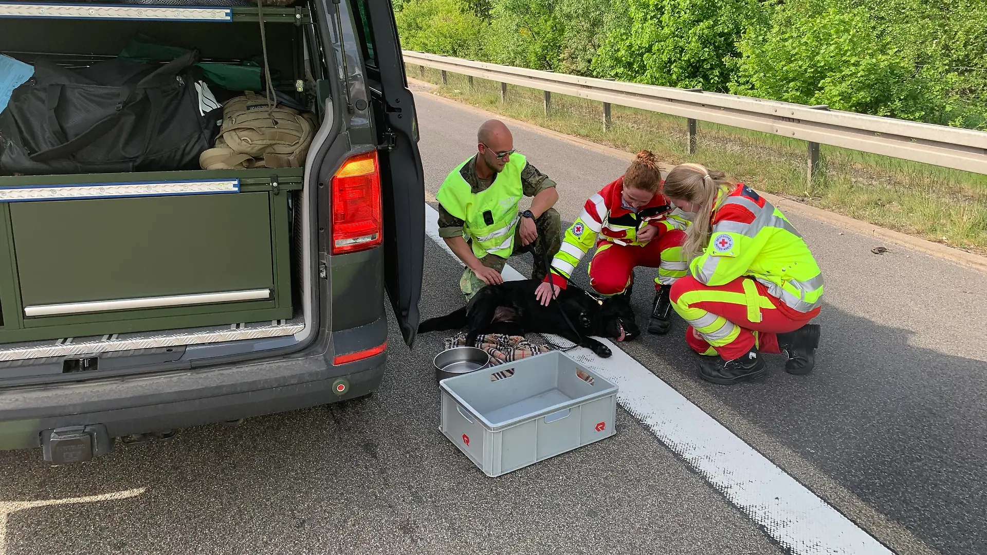 Rettungrkäfte kümmern sich um den Hund bei einem Verkehrsunfall.