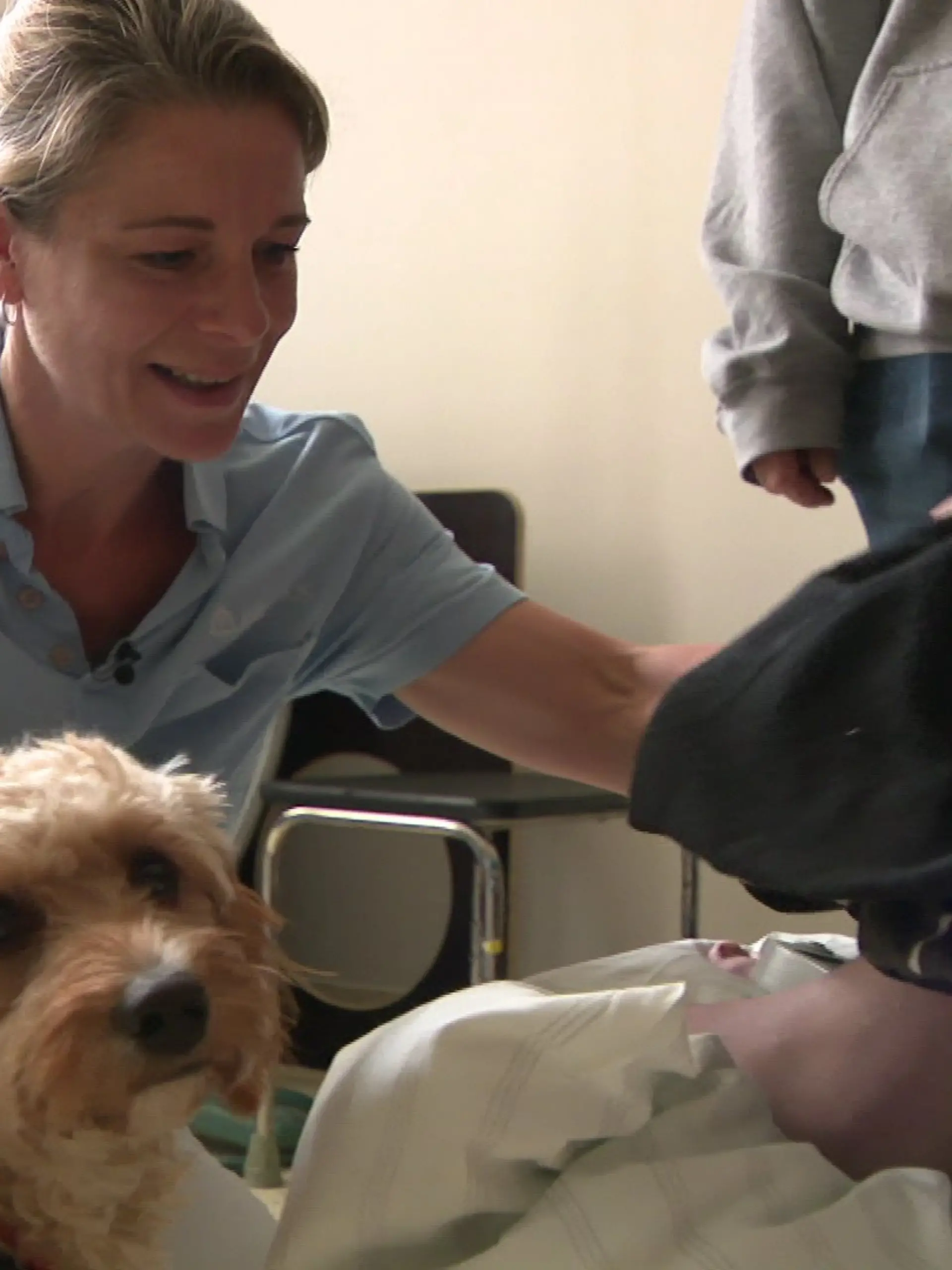Bild zu: "Therapiehund Lotte kommt ins Krankenhaus"