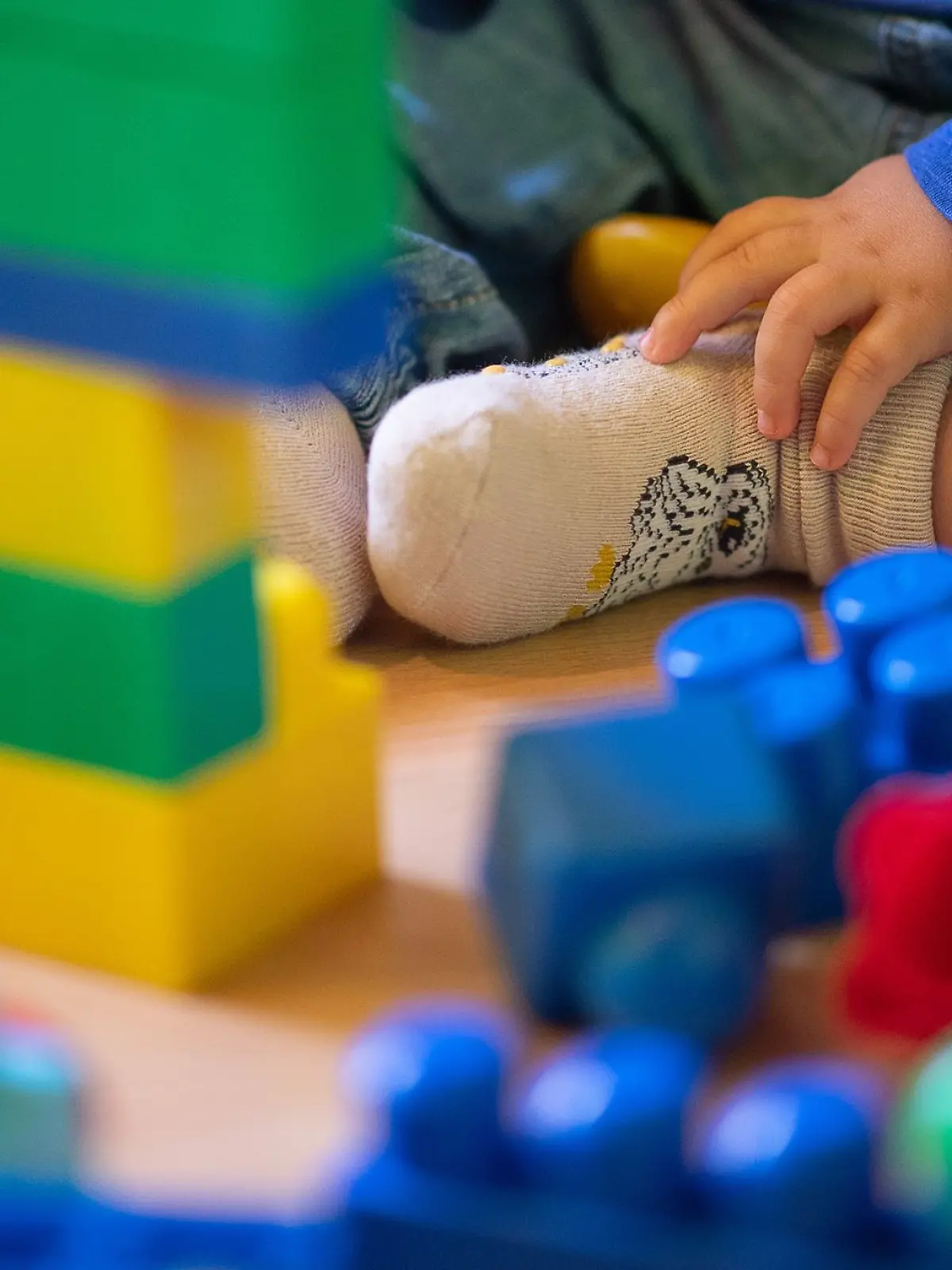 Bild zu: "Joseph (2) spricht fünf Sprachen und liest fließend"