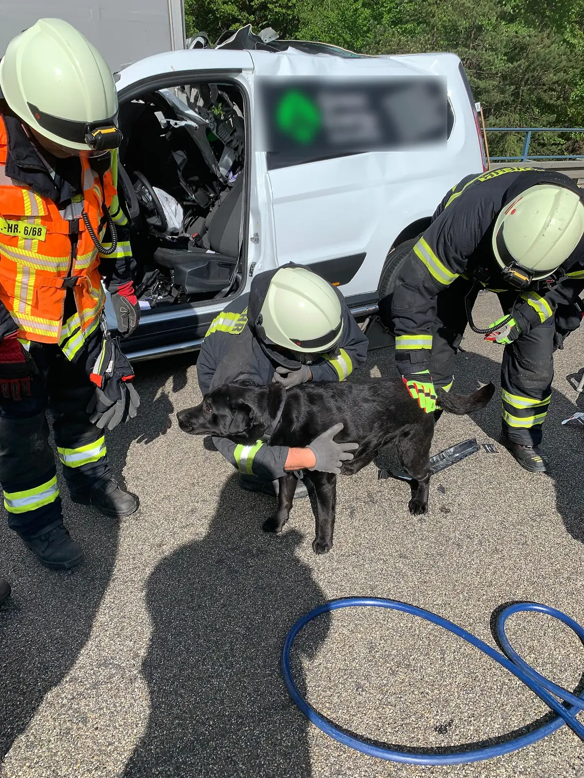 Feuerwehrleute befreien Hund bei Verkehrsunfall auf der A7 bei Knüllwald