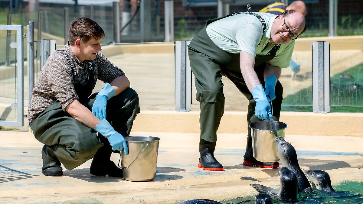 Umweltminister-Meyer-besucht-Seehundstation