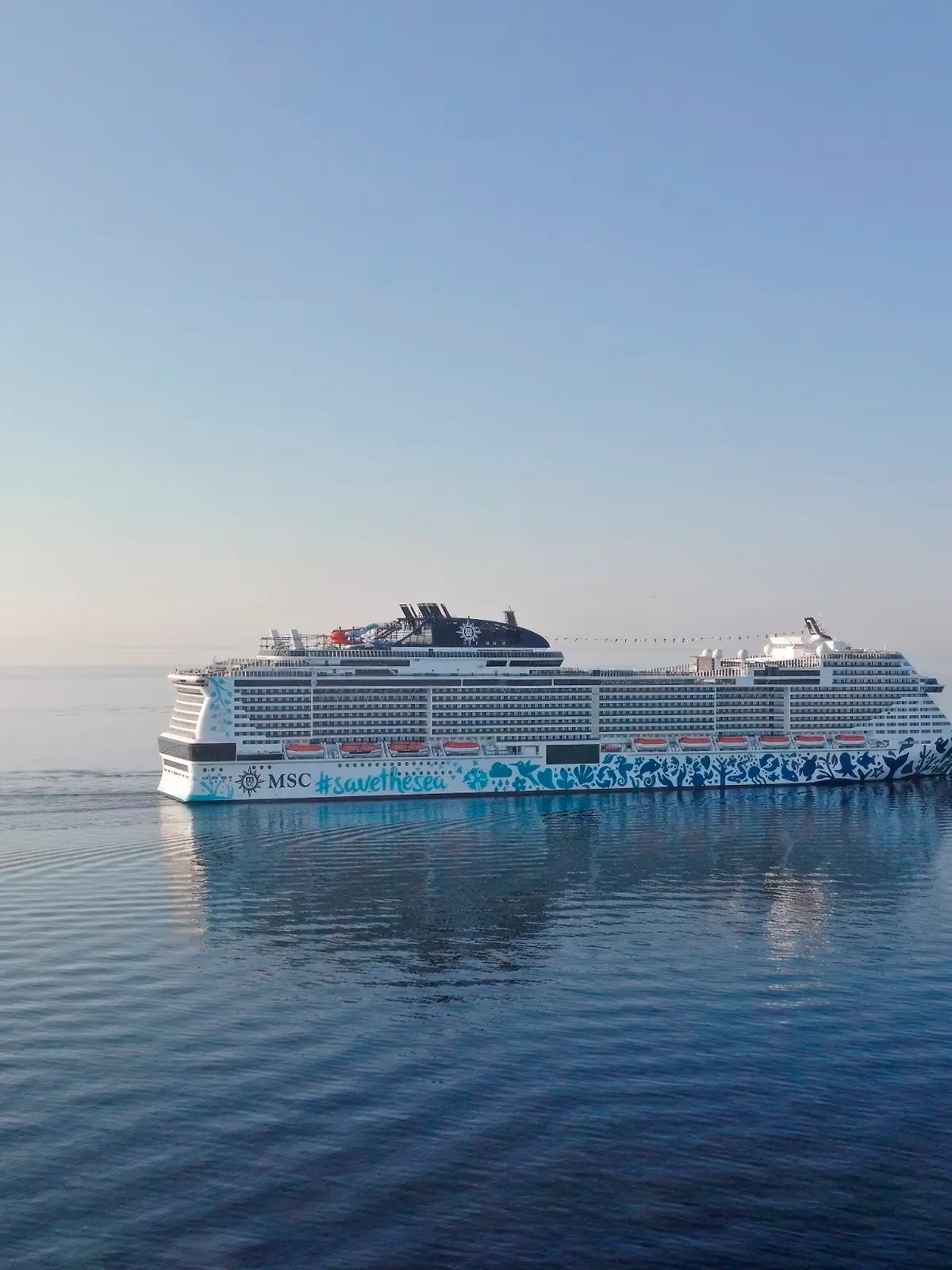 Dramatischer Zwischenfall auf der MSC Euribia: Ein Passagier geht über Bord. Von dem 23-Jährigen fehlt jede Spur.