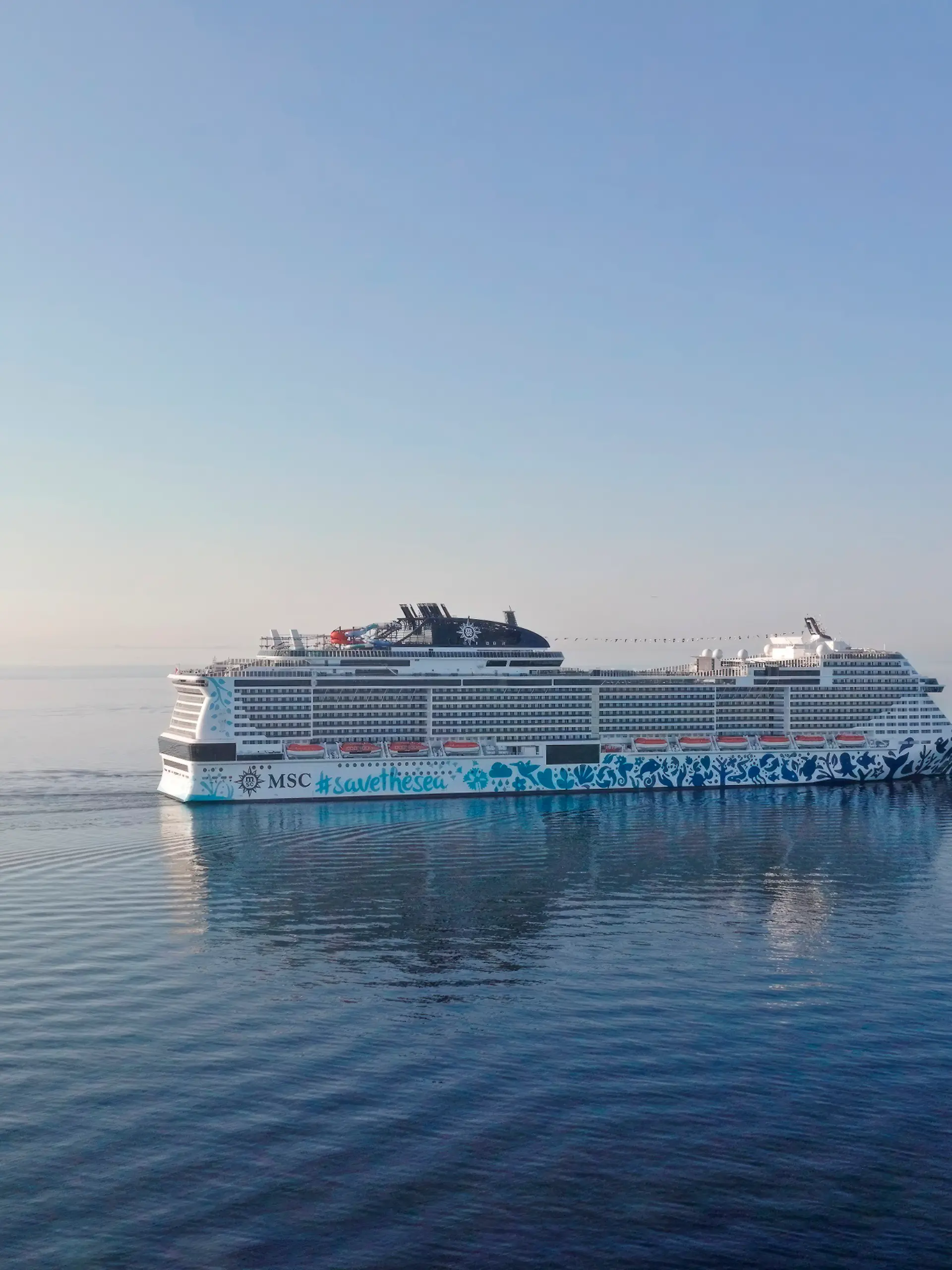 Dramatischer Zwischenfall auf der MSC Euribia: Ein Passagier geht über Bord. Von dem 23-Jährigen fehlt jede Spur.