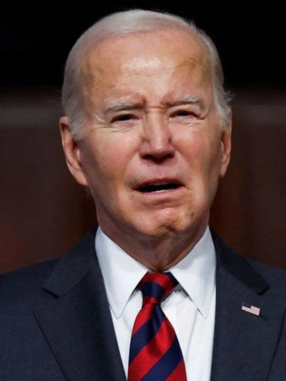 US-Präsident Joe Biden: Lobeshymnen von Sohn und Enkelin