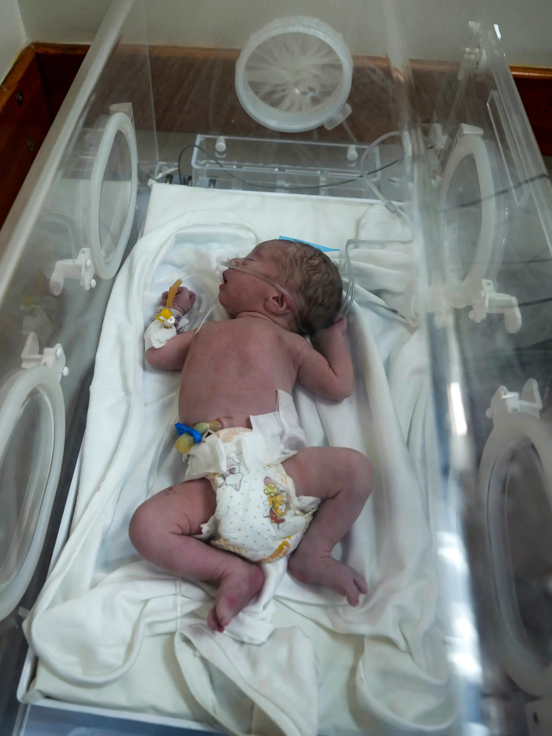 Bild zu: "Schwangere in Gaza getötet – Baby im Bauch überlebt wie durch ein Wunder"