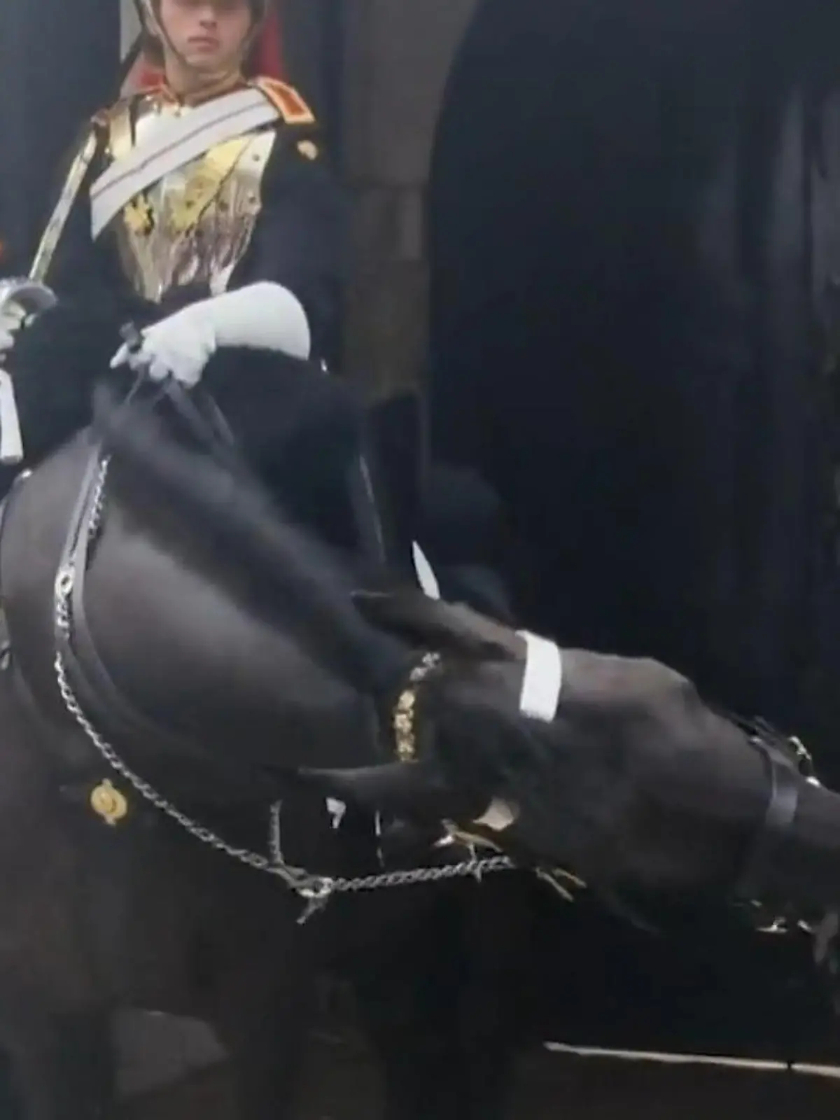 Eine Touristin, die ein Foto mit der Königswache machen wollte, fiel in Ohnmacht, nachdem sie von dem unruhigen Pferd in den Arm gebissen wurde. Die Schock-Sekunden seht ihr im Video.