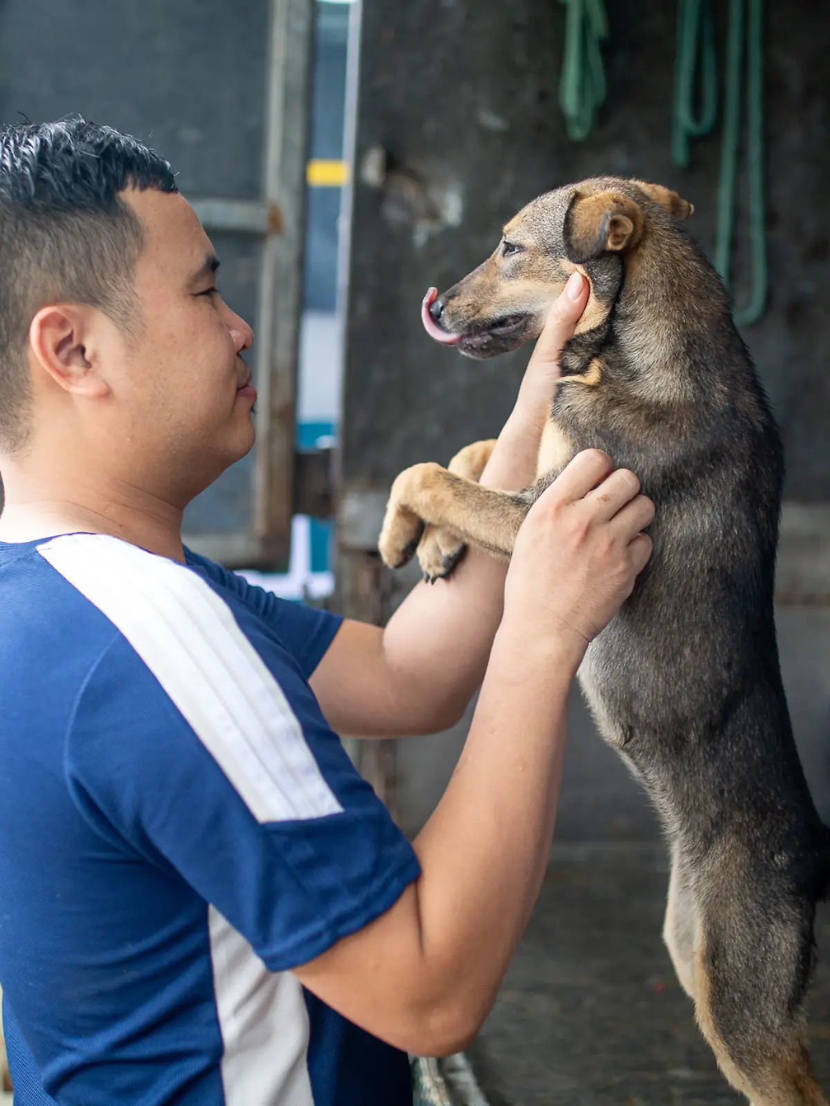 Hundefleischhandel in Vietnam