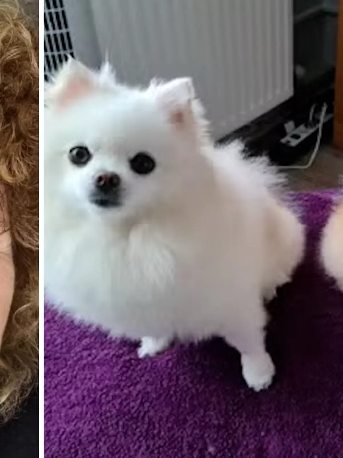 Bild zu: "Welche Rolle ihre Hunde bei der Mördersuche spielen"